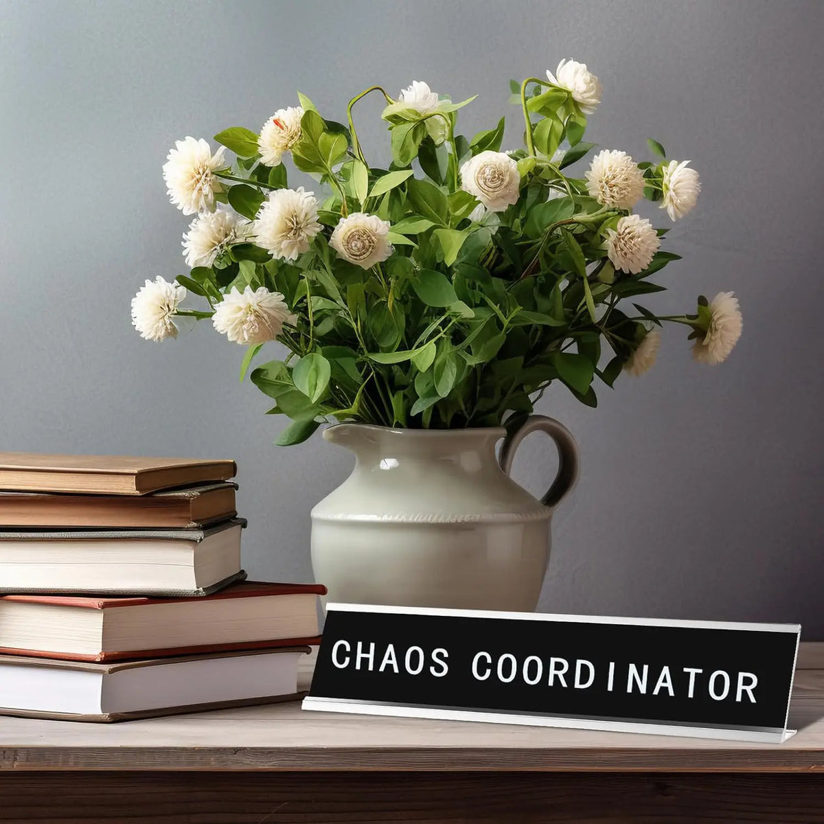 Chaos Coordinator Desk Signs, Funny Desk Signs for Office